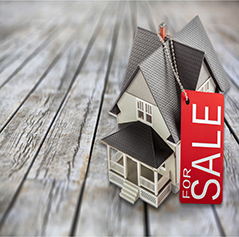 NEW LISTINGS