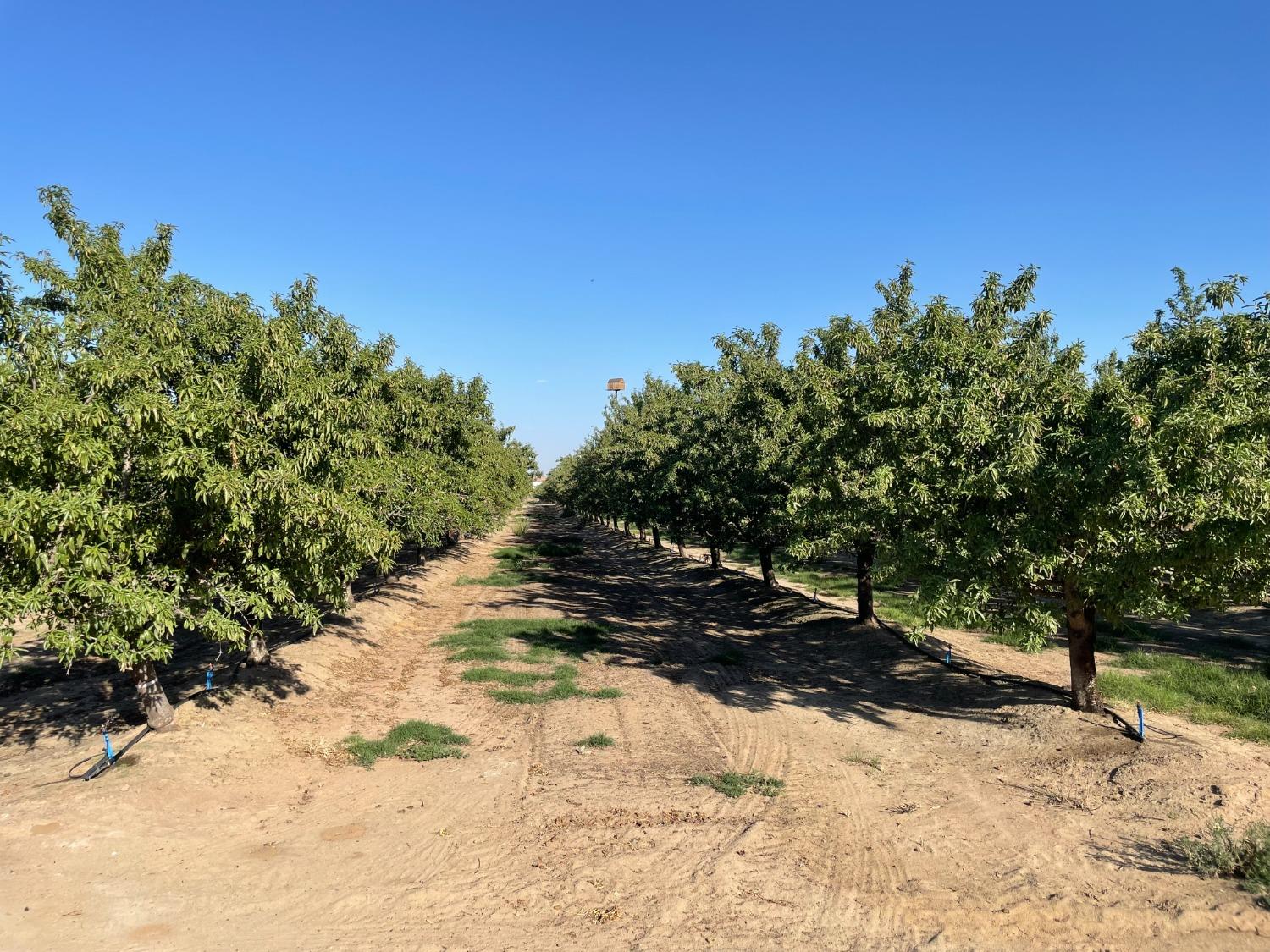 2801 Trindade Rd, Atwater, CA 95301